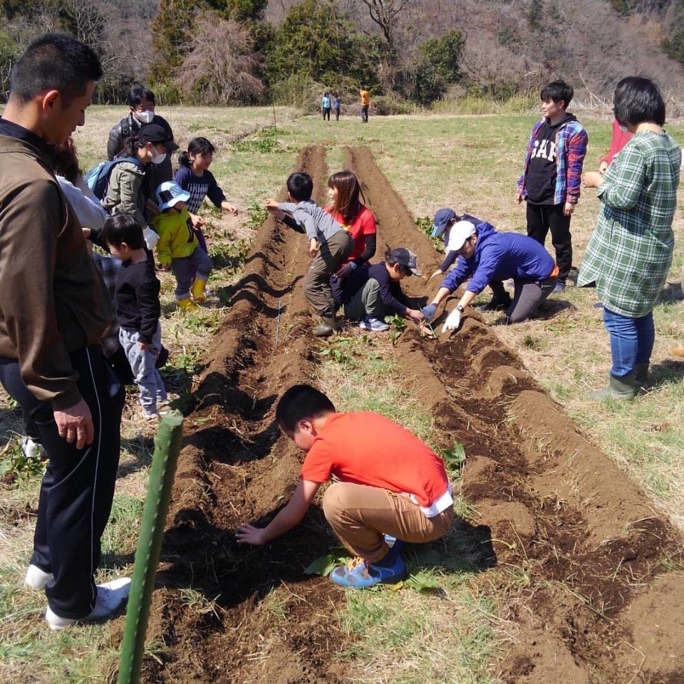 ここでしか味わえない体験!絶品お弁当も!しっかり農業体験